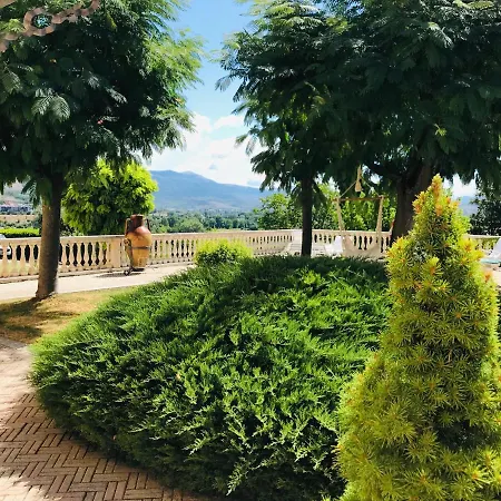 Silvana - Di Campagna *